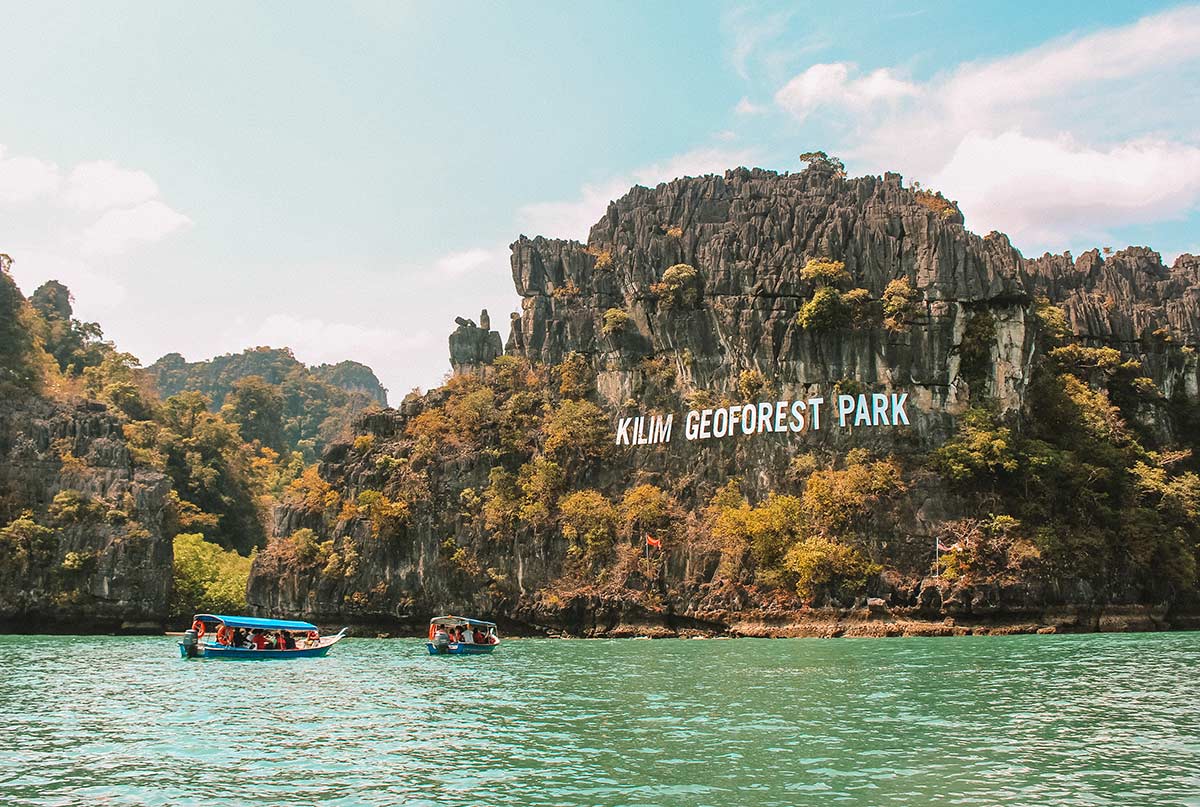 Jelajahi Ekosistem Penting Langkawi: Mangrove Tour Langkawi